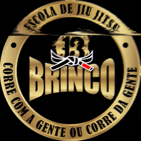 Brinco13 Bjj Jiujtsu Jiu GIF by Bin