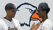 Cnbb20 GIF by Carson-Newman Athletics