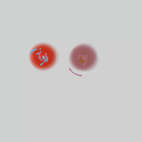 GIF by Boopy Club