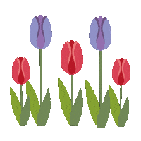 Pink Travel Sticker by Kew Gardens