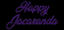 GraftonJacarandaFestival jacaranda graftonjacarandafestival happyjacaranda GIF