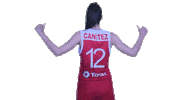 Basketball Turkey Sticker by Türkiye Basketbol Federasyonu