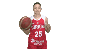 Basketball Turkey Sticker by Türkiye Basketbol Federasyonu