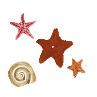 Water Ocean Sticker