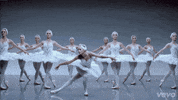 shake it off taylor swift GIF by Vevo