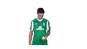 Marco Friedl Bundesliga Sticker by SV Werder Bremen