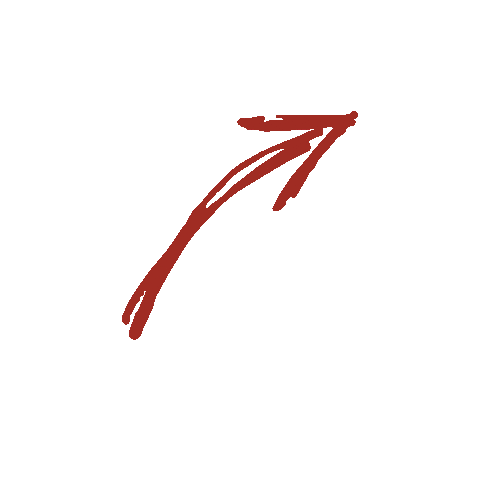 Coffee Coffeeroaster Sticker by Kaffeerösterei Konstanz