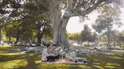 Los Angeles Breaking Up GIF by flybymidnight