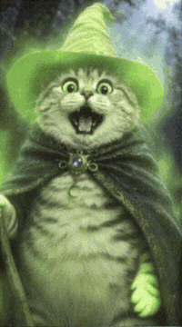 Tabby Cat Magic GIF