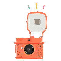 vintage photography Sticker