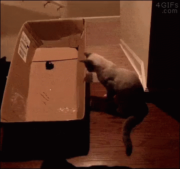 GIF by Demic