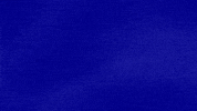 Dog GIF by Jeopardy!
