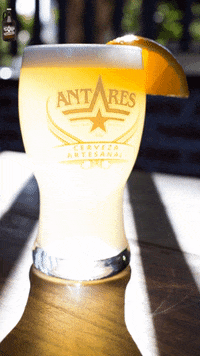 antareslaplata beer argentina bottle cerveza GIF