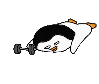 Sport Exercise Sticker