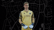 Svs1916 GIF by SV Sandhausen