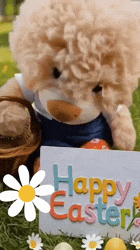 Instagram Spring GIF