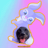Dog Puppy GIF