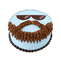 Ice Cream Cake Sticker by Baskin-Robbins