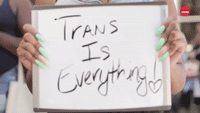 Trans Is Everything
