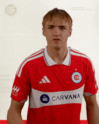 Vamos Lets Go GIF by Chicago Fire Football Club