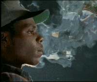 The Chronic GIF by Dr. Dre