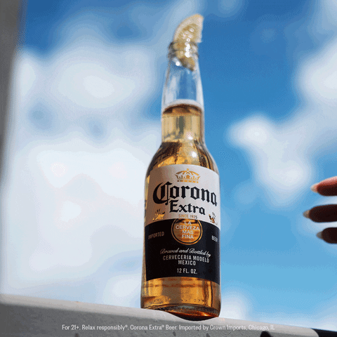 Corona Beer Summer GIF by Corona USA