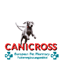 Epp Canicross Sticker by Europeanpetpharmacy
