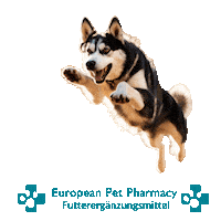 Canicross Sticker by Europeanpetpharmacy