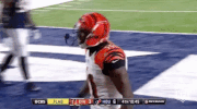 Cincinnati Bengals Football GIF by NFL