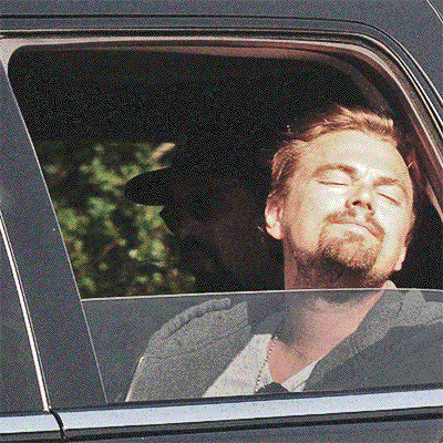 leonardo dicaprio car GIF by Josh Rigling