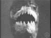 piranha GIF by Okkult Motion Pictures