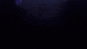 News Crypto GIF by Spaziocrypto