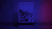 johnrohek art music video woman walking GIF