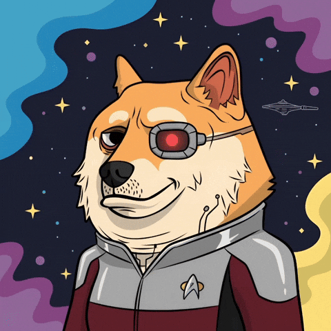Star Trek Illustration GIF by Doge Pound