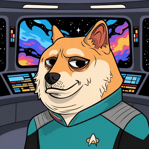 Star Trek Space GIF by Doge Pound