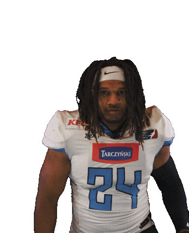 panthersfootball giphyupload football panthers wroclaw Sticker