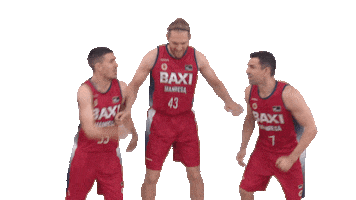 Liga Endesa Win Sticker by ACB