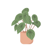 Flower Pot Plant Sticker