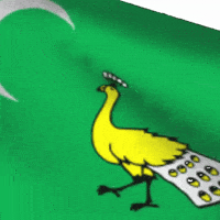 turukkflag türk turks türk state ghaznavid state GIF