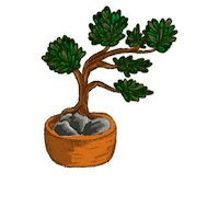 nennoilustracion plantas arbol bonsai nenno Sticker