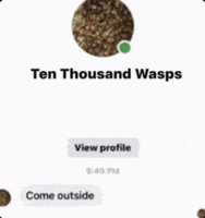 Ten Thousand Bees GIF