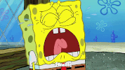 season 9 GIF by SpongeBob SquarePants