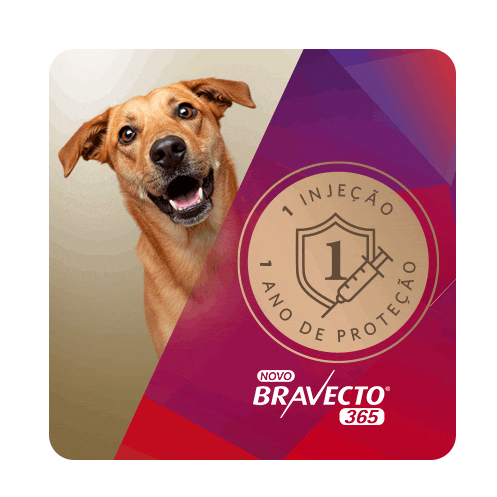 Bravecto Pulgas Sticker by MSD Família Pet