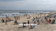The Jersey Shore GIF by THE ICE CREAM SHOW