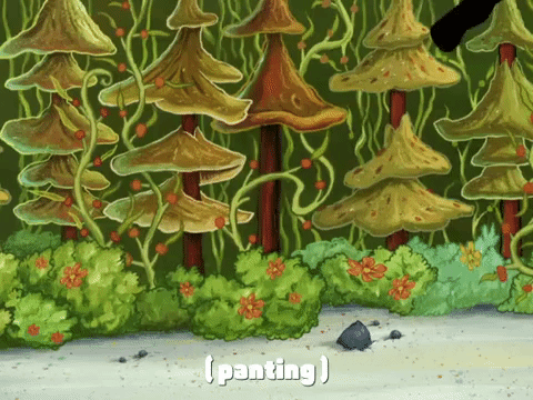season 4 bummer vacation GIF by SpongeBob SquarePants