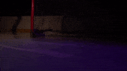Skate GIF by Tommie Athletics