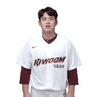 키움히어로즈 Sticker by Kiwoom Heroes Baseball Club
