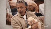 Jeff Goldblum Dogs GIF by National Geographic Channel