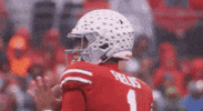 College Football GIF