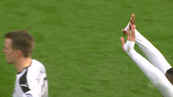 2. bundesliga football GIF by 1. FC Köln